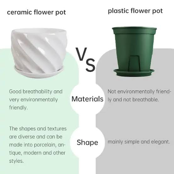 Ceramic Planters vs Plastic Planters