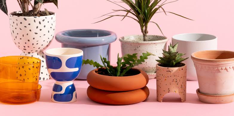 Ceramic Planters vs Plastic Planters