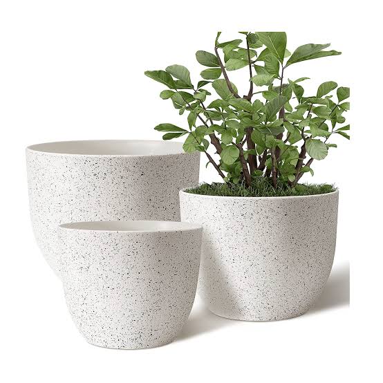 Ceramic Planters vs Plastic Planters