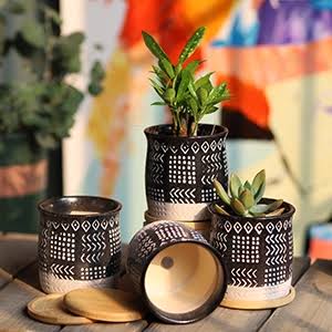 Ceramic vs Porcelain
